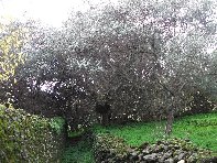 Grotta_delle_Fate - 20110102 053.jpg